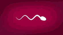 Sperm Swimming Sperm GIF