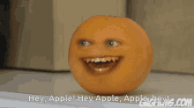 annoying orange annoying orange hey apple