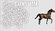 a horse is walking in front of a white background with the word consume written on it
