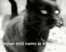 Klös Katt GIF - Klös Katt Cat GIFs