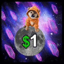 Ordinalsmedia Dog Go To The Moon GIF