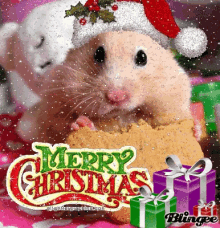 Hamster Christmas GIF - Hamster Christmas Merry GIFs