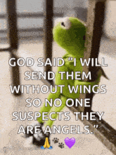 kermit the frog is sitting on a railing with a quote that says god said i will send them without wings