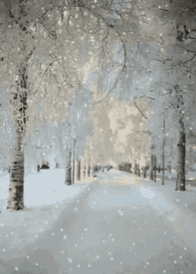 Beautiful Winter GIF - Beautiful Winter Snow GIFs