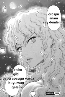 alguém sabe? #berserk #casca #griffith #guts