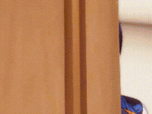 a close up of a brown curtain hanging on a door
