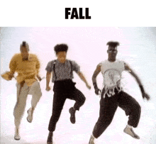 a group of men are dancing together in a video with the word fall above them .