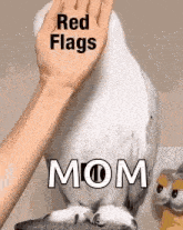 a person is petting a white parrot with a hand .