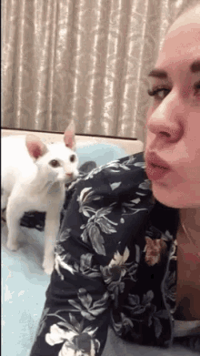 cats kisses