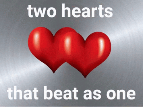 Two Hearts Gifs Tenor