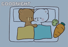a cartoon of two teddy bears sleeping next to each other with the words " goodnight " written above them