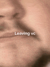 Leaving Vc Doggeroni GIF - Leaving Vc Doggeroni Riley Triangle GIFs