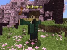 a minecraft character named velhere standing in a field of flowers