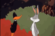 Bugs Bunny Daffy Duck GIF - Bugs Bunny Daffy Duck No GIFs