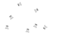a bunch of flies are flying in a circle on a white background .
