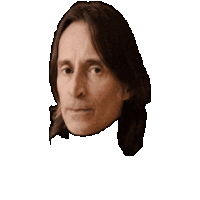 a close up of a man 's face with long hair