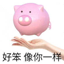 a hand is holding a pink piggy bank with chinese characters on it