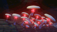 Mushroom Rainbow GIF