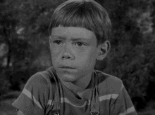 Twilight Zone Wished Into The Cornfield Bill Mumy GIF - Twilight Zone Wished Into The Cornfield Bill Mumy Shocked GIFs