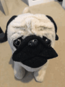 Dog GIF - Dog GIFs