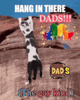 a picture of a dog with the words hang in there dads on it