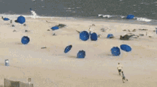 When It'S Too Windy At The Beach GIF - Wind Funny Wind Too Windy GIFs