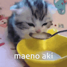 Maeno Aki Zeno Remake GIF - Maeno Aki Zeno Remake Cats GIFs