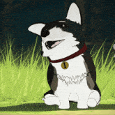 a black and white dog with a red collar and a tag that says 1