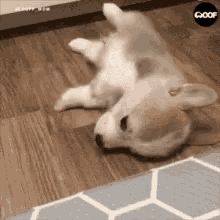 Tired Baptism GIF - Tired Baptism Cute GIFs