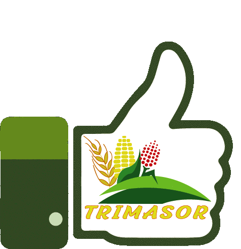 Trimasor Trimo Sticker - Trimasor Trimo Maiz Stickers
