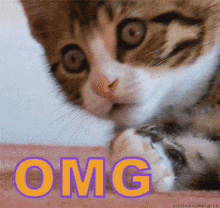 GIF