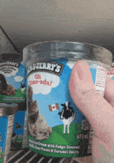 Ben And Jerrys Oh Cone Ada GIF - Ben And Jerrys Oh Cone Ada Oh Canada GIFs