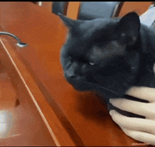 a black cat is laying on a wooden table being held by a person .