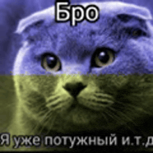 a picture of a cat with a russian caption