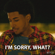 a man in a plaid shirt says " i 'm sorry what " in front of a netflix logo