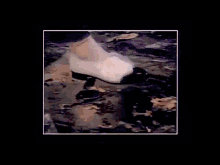 a close up of a person 's foot walking on a wet floor .