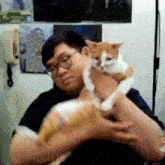 a man is holding an orange and white cat in his lap