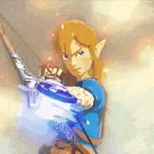 Zelda Botw GIF