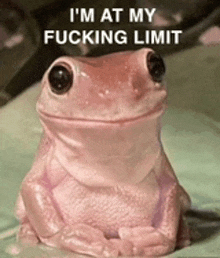At My Limit Frog GIF - At My Limit Frog Dying GIFs