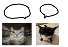 Wucanitbenou Cat Meme GIF - Wucanitbenou Cat Meme Cat GIFs