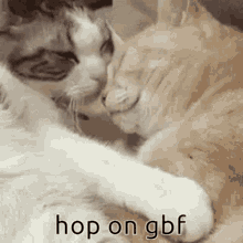 Hop On Gbf GIF