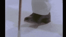a person is skiing in the snow with a pole