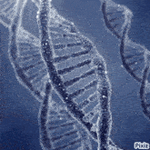 a close up of a dna molecule on a blue background