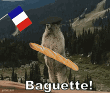 Baguette Baugette GIF - Baguette Baugette GIFs