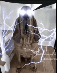 a dog with lightning bolts around it 's head