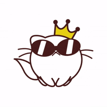 animal kitty cat cute sunglasses