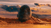 a statue of a man 's head is laying in the desert