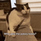 a cat holding a knife with the words who gets the pokey today on the bottom