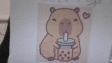 a picture of a capybara drinking from a cup