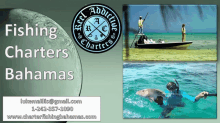 fishing charters bahamas fishing guide bahamas fishing trips in bahamas deep sea fishing bahamas spearfishing bahamas